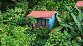 Villas In Sueño Private Jungle Hotel